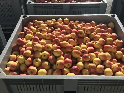 Anlieferung & Sortierung