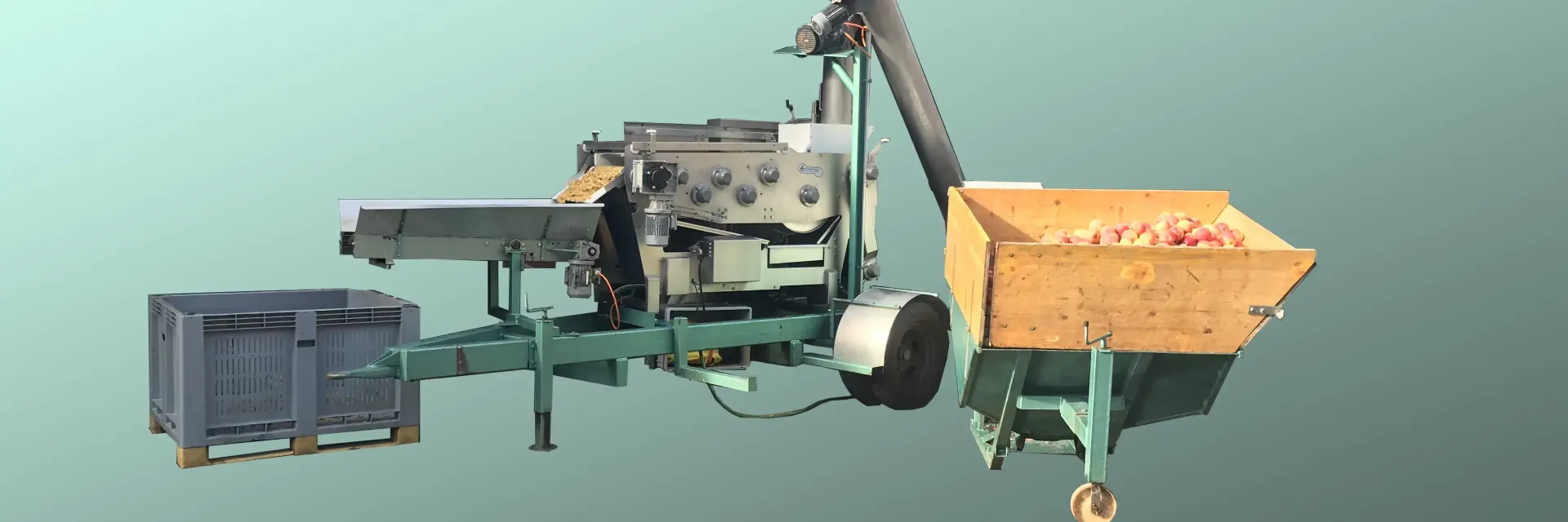 Frischer Most im Glas